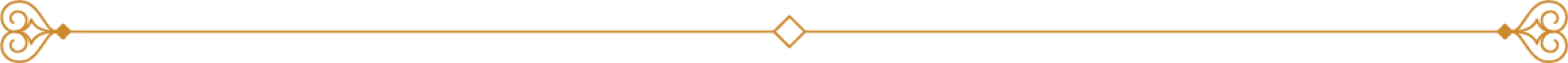 luxury-divider-line