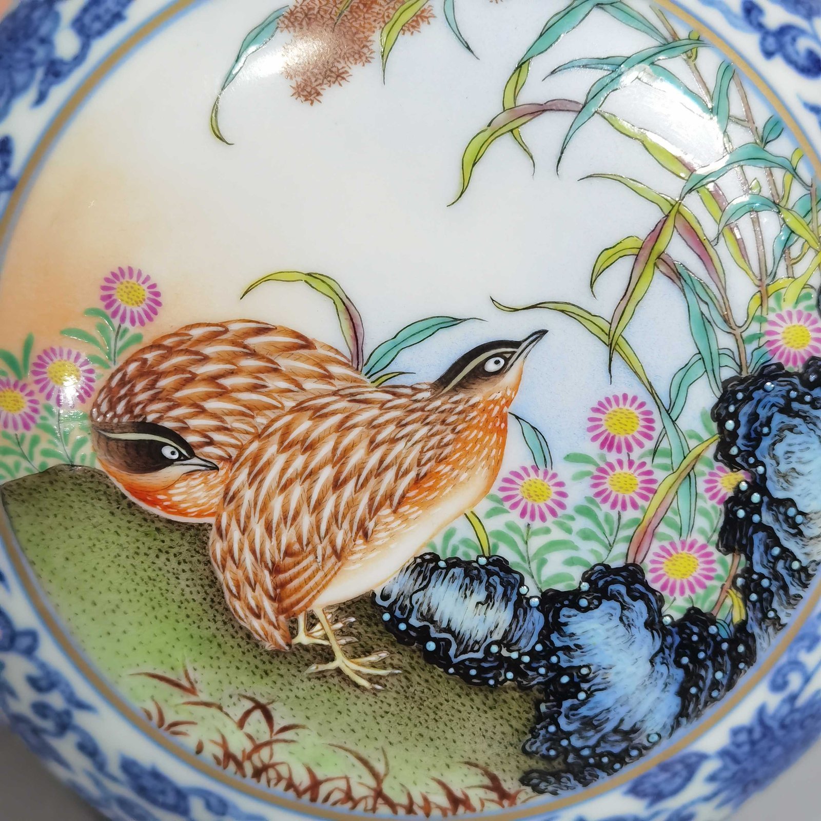 Qing Dynasty Qianlong blue and white lotus pattern pastel quail print box