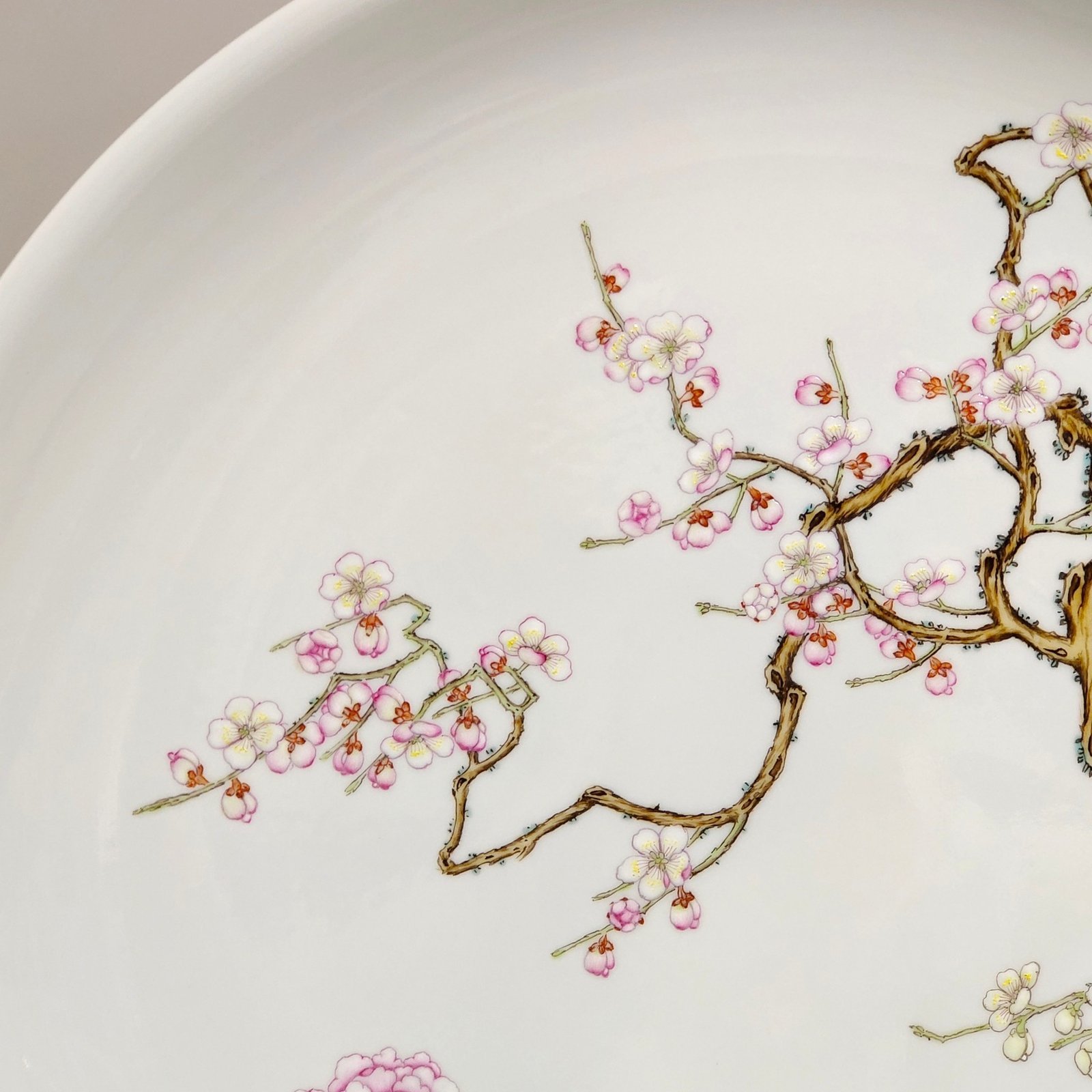Qing Dynasty Yongzheng pastel painting plate with branches and wealth