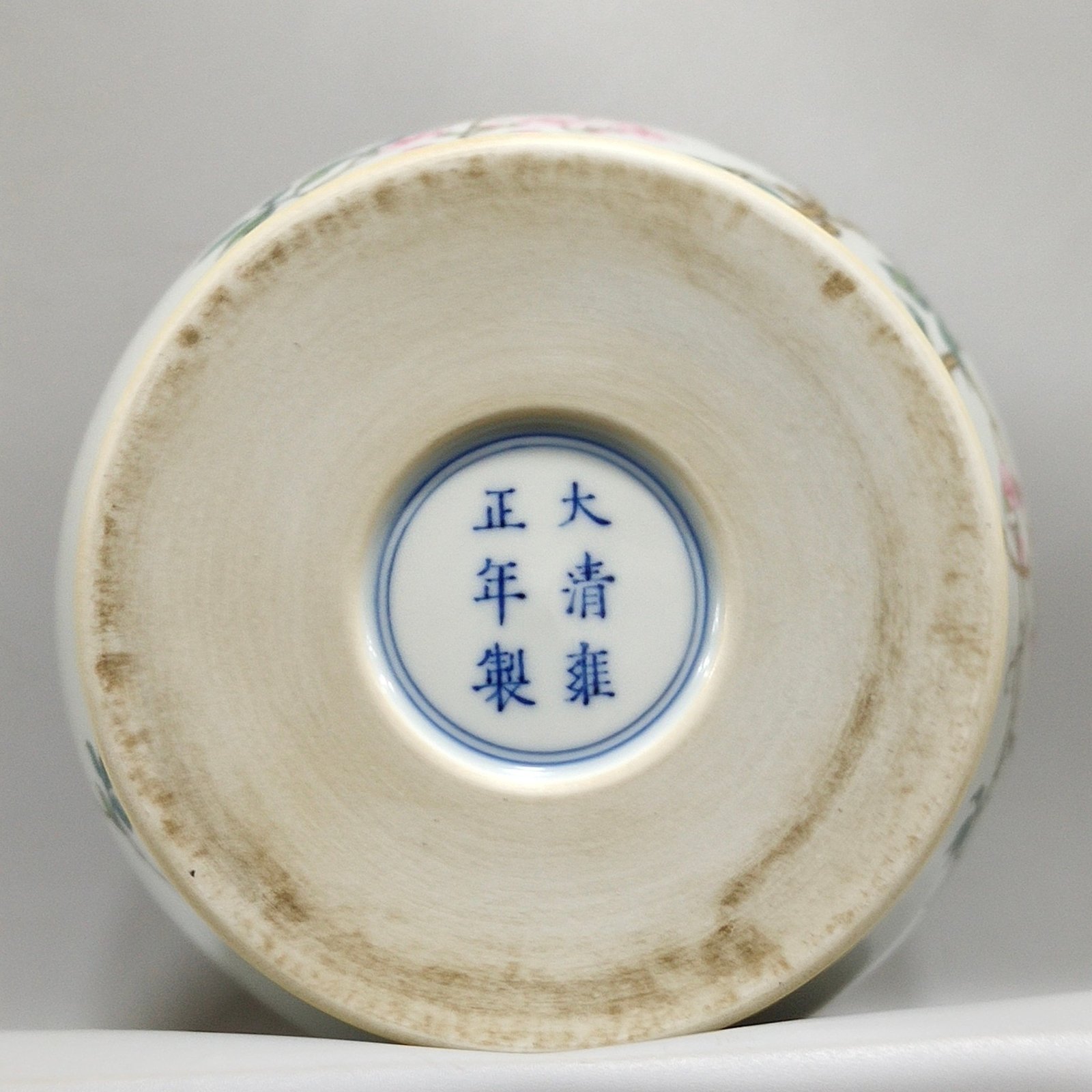 Qing Dynasty Yongzheng insect interesting plum vase
