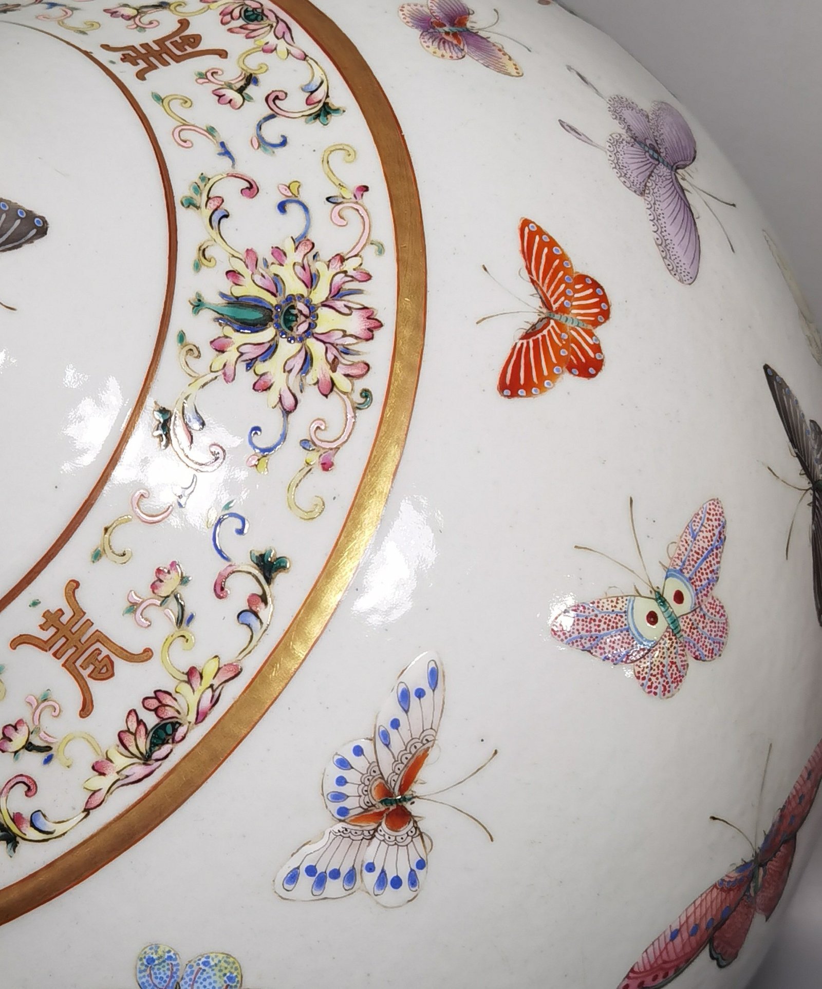 Qing Dynasty Guangxu pastel butterfly pattern vase