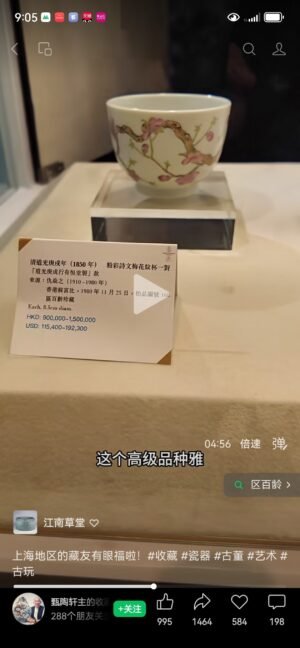 Qing Dynasty Daoguang Gengchengxing Youhengtang a pair of pastel plum blossom cups