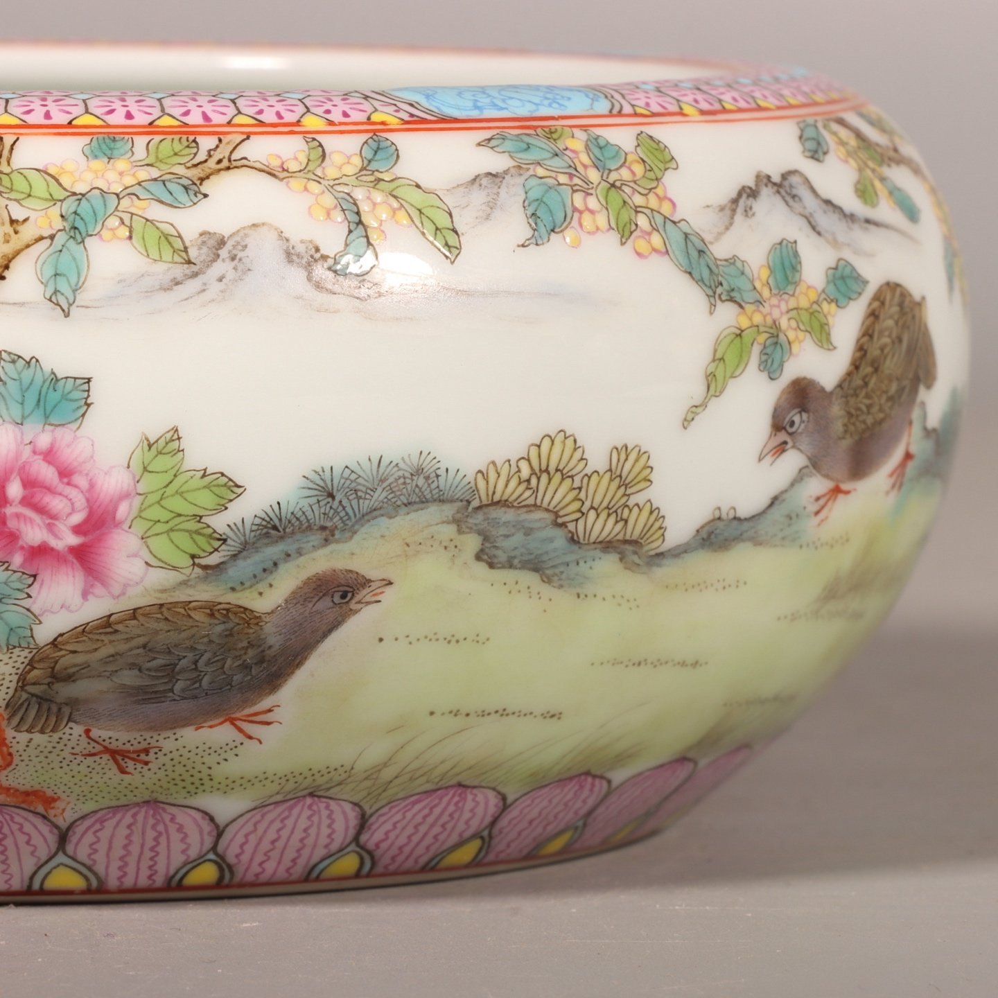 Qing Dynasty Yongzheng pastel painting with fish and algae patterns
