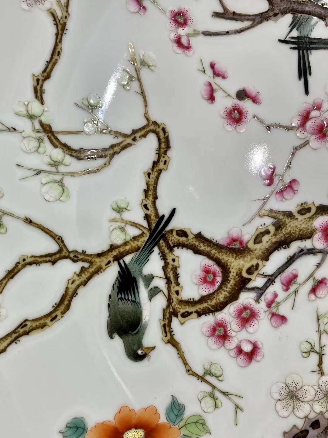 Qing Dynasty Yongzheng pastel paintings of flowers and birds on a branch plate