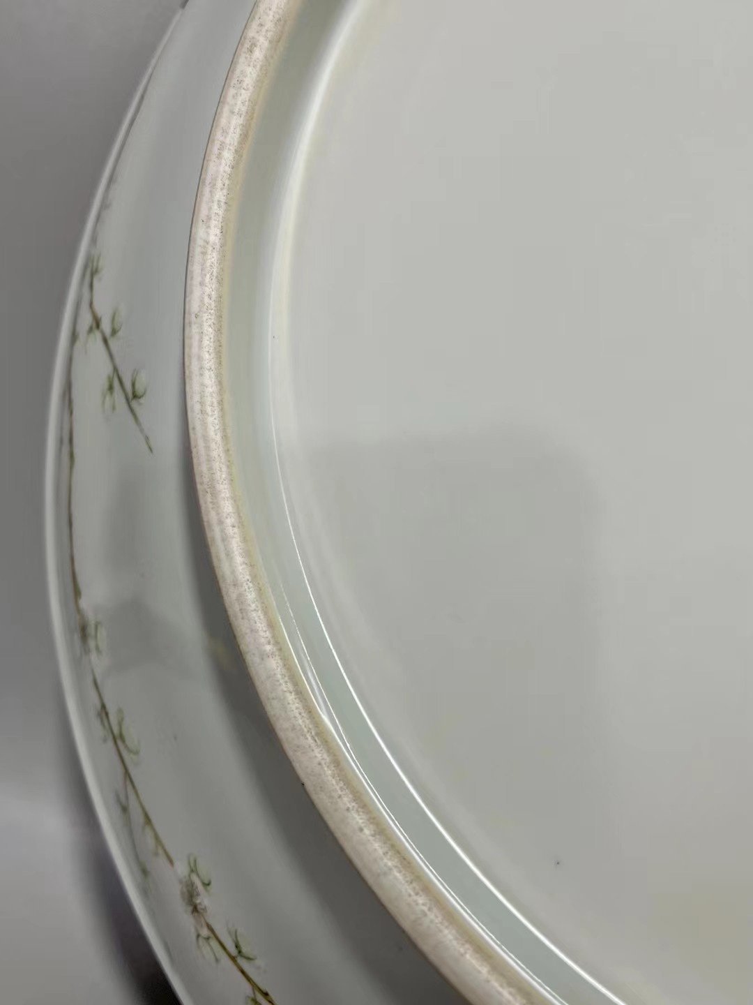 Qing Dynasty Yongzheng pastel paintings of flowers and birds on a branch plate