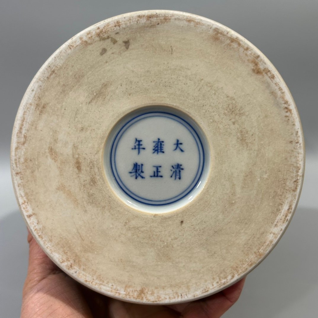 Qing Dynasty Yongzheng Doucai Flower and Bird Plum Vase