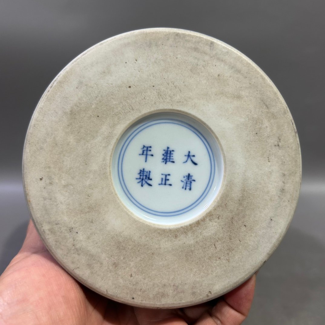 Qing Dynasty Yongzheng pastel plum blossom vase