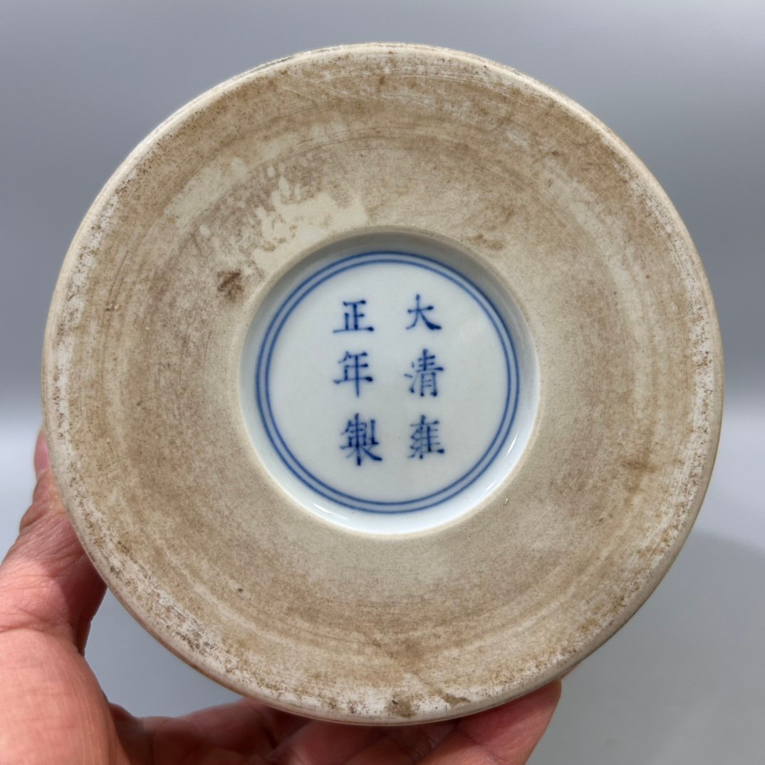 Qing Dynasty Yongzheng pastel flower and bird plum vase