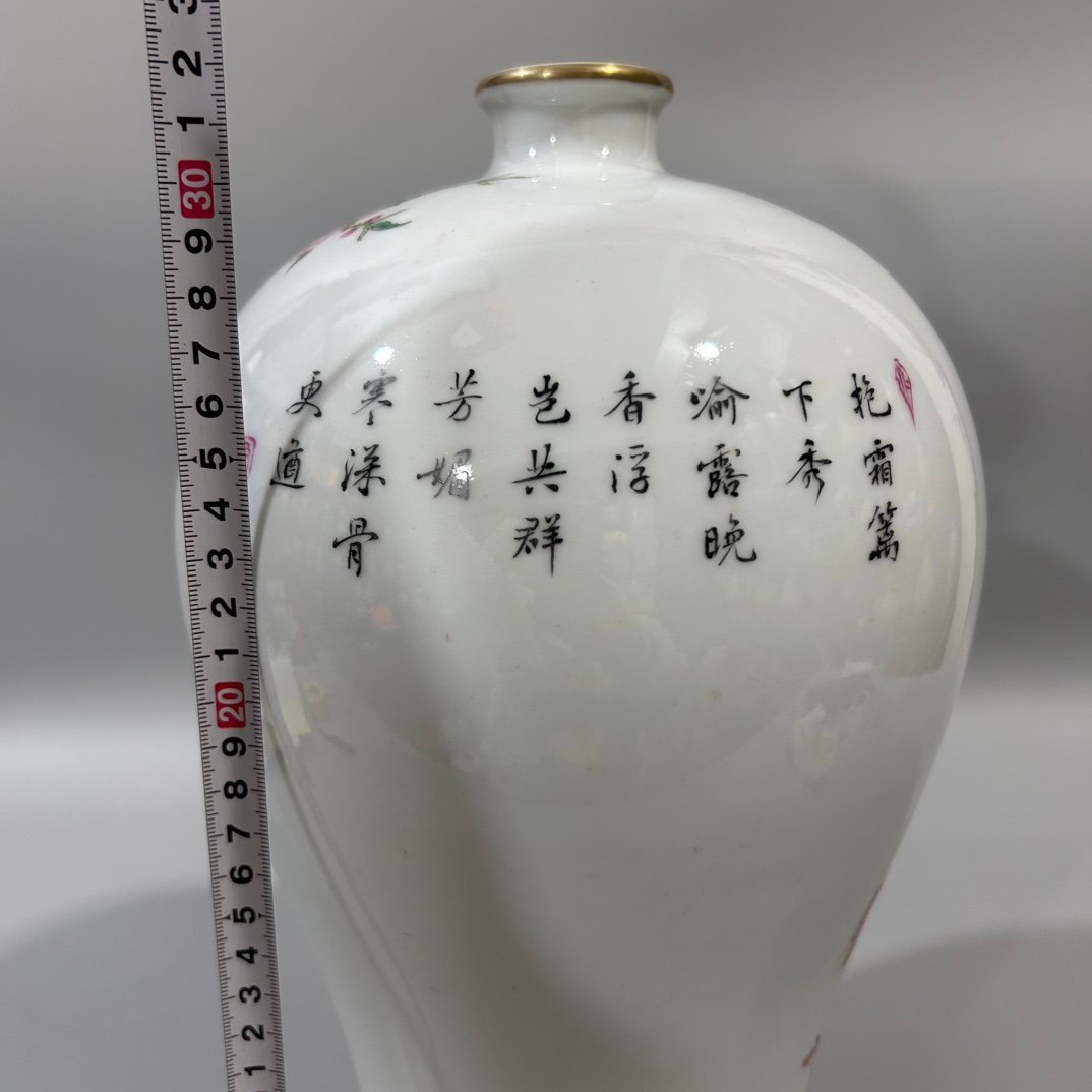Qing Dynasty Yongzheng pastel flower and bird plum vase