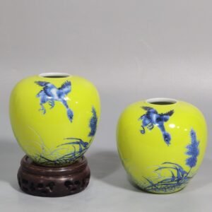Qing Dynasty Yongzheng style yellow-glazed blue and white water bowl