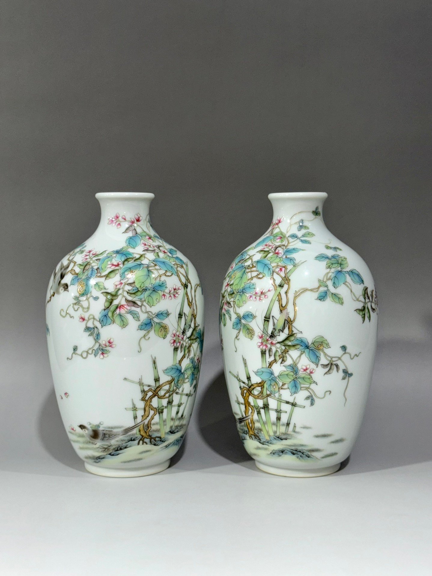 Oing Dynasty Yongzheng Vase with pod vines flowers birds