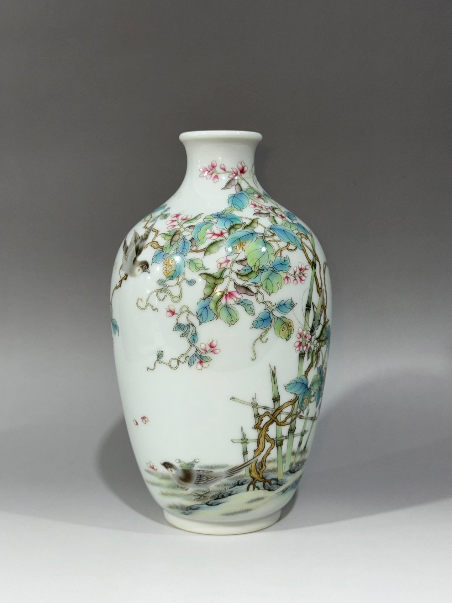Oing Dynasty Yongzheng Vase with pod vines flowers birds