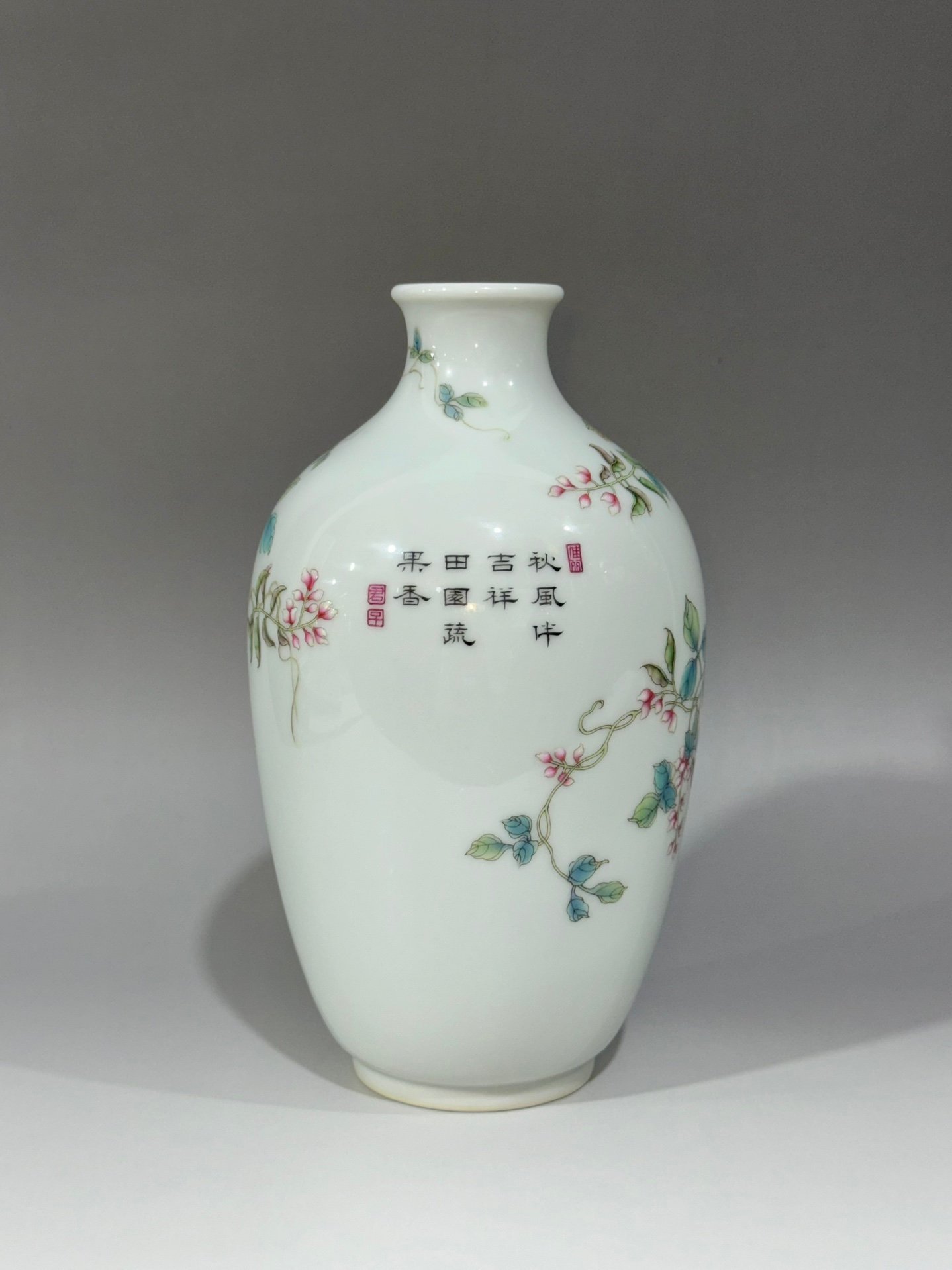 Oing Dynasty Yongzheng Vase with pod vines flowers birds