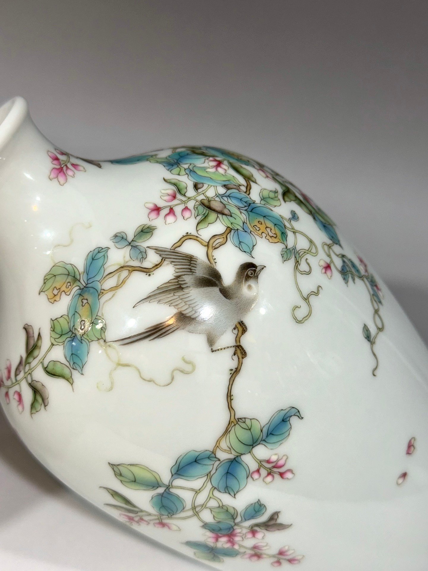 Oing Dynasty Yongzheng Vase with pod vines flowers birds