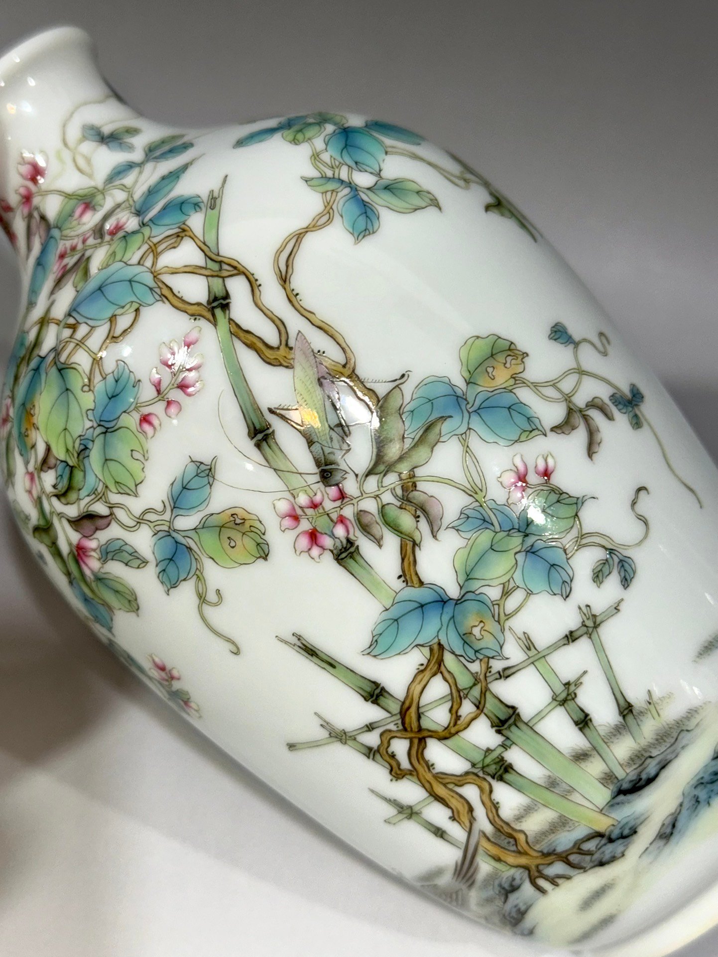 Oing Dynasty Yongzheng Vase with pod vines flowers birds