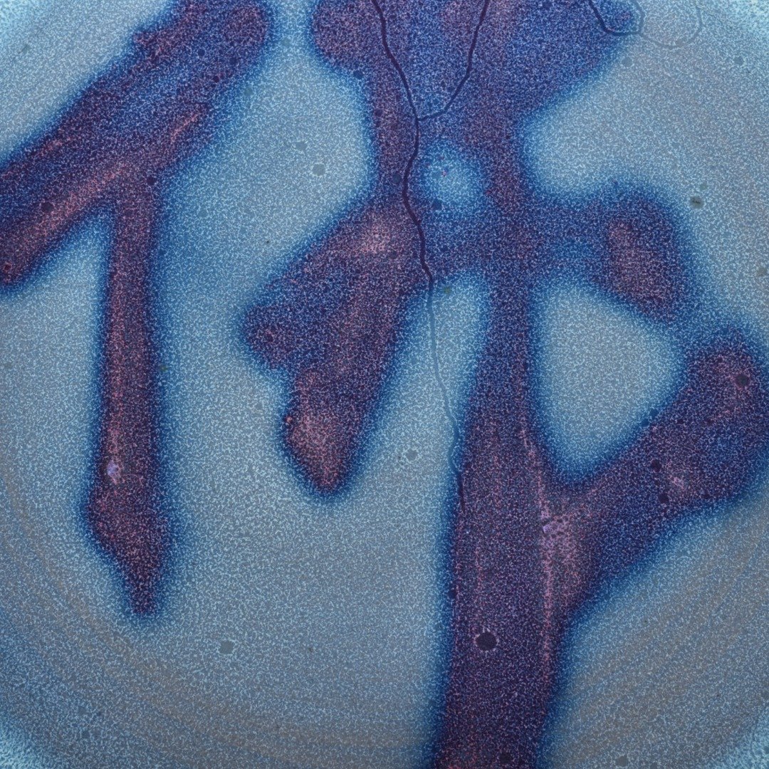 Song Dynasty Jun kiln blue glaze rose purple Buddha folding rim plate