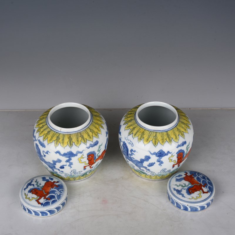 Ming Dynasty Chenghua Doucai Tianma pattern Tianzi jar