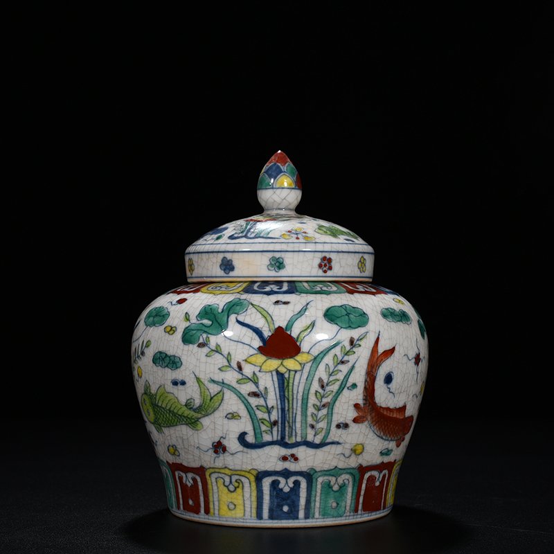 Ming Dynasty Chenghua Cai Fish and Algae Tianzi Jar