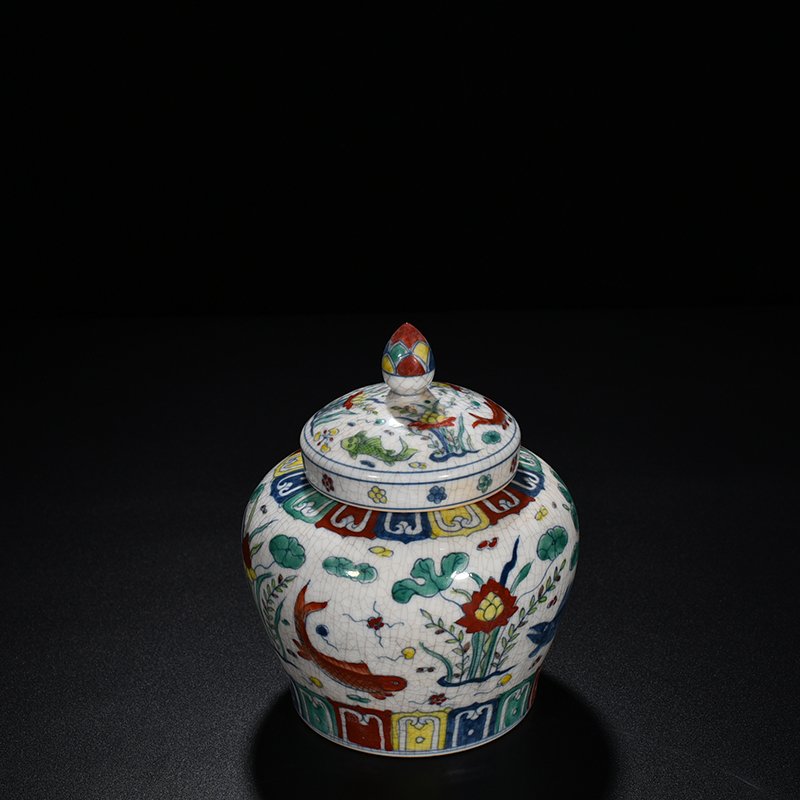 Ming Dynasty Chenghua Cai Fish and Algae Tianzi Jar