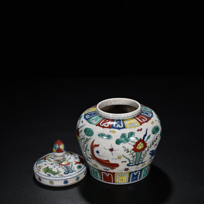 Ming Dynasty Chenghua Cai Fish and Algae Tianzi Jar