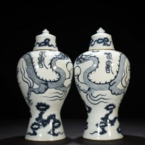 Ming Dynasty Hongwu Chunshou style blue and white dragon plum vase