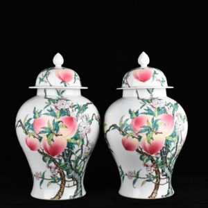 Qing Dynasty Qianlong pastel Five Blessings and Nine Peach General Jar