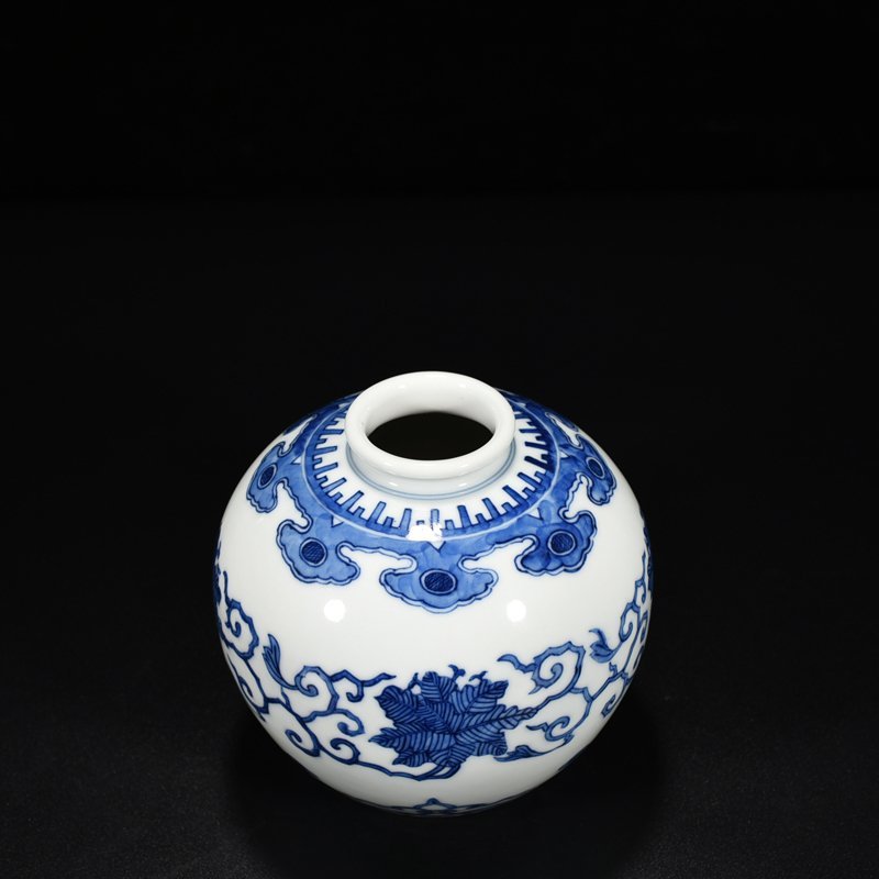Qing Dynasty Kangxi blue and white flower jar