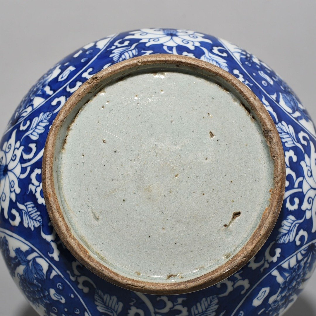 Qing Dynasty Kangxi blue and white flower and bird vase