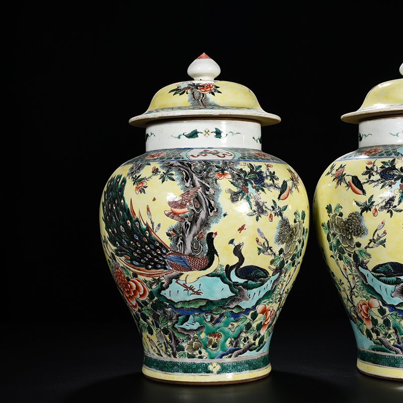 Qing Dynasty Kangxi Yellow Ground Multicolored Peacock Flower General Jar