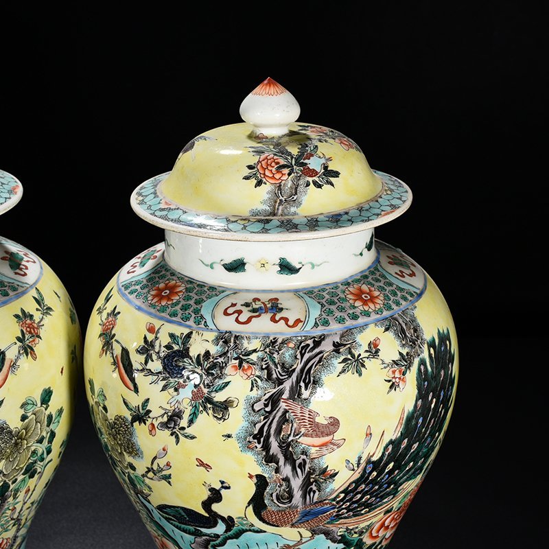Qing Dynasty Kangxi Yellow Ground Multicolored Peacock Flower General Jar