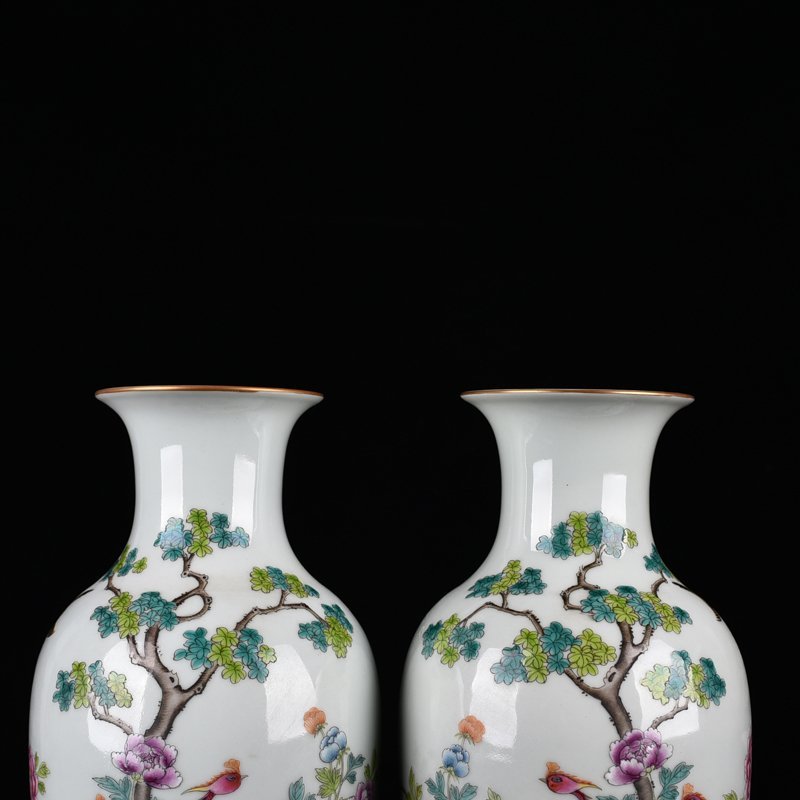 Qing Dynasty Daoguang Pastel Five-Lun Picture Flower and Bird Vase