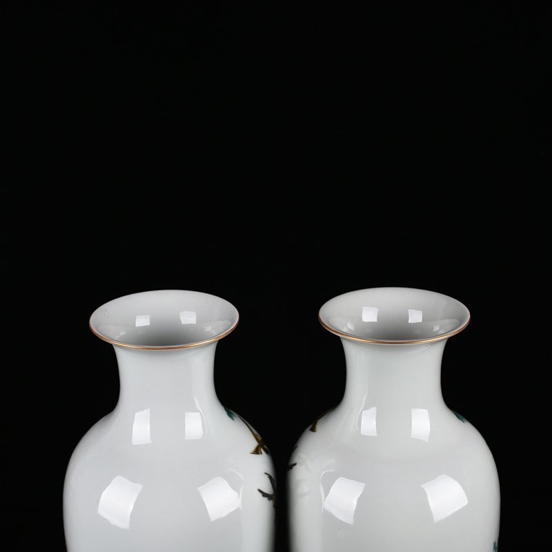Qing Dynasty Daoguang Pastel Five-Lun Picture Flower and Bird Vase