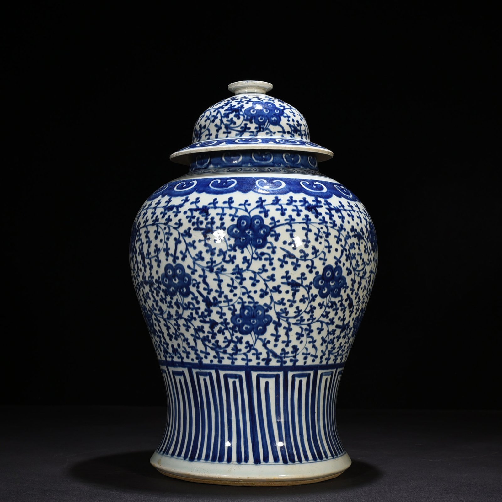 Qing Dynasty Daoguang blue and white general jar with intertwining branches and florals