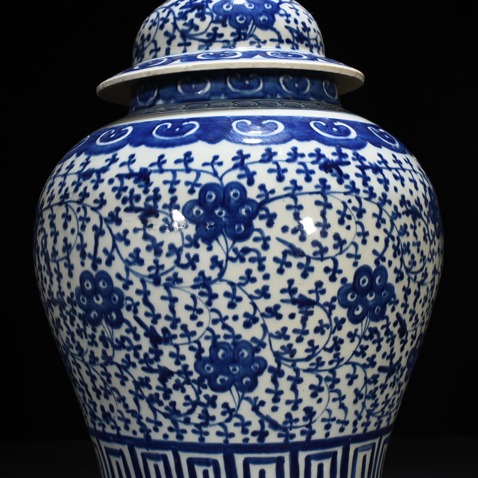 Qing Dynasty Daoguang blue and white general jar with intertwining branches and florals