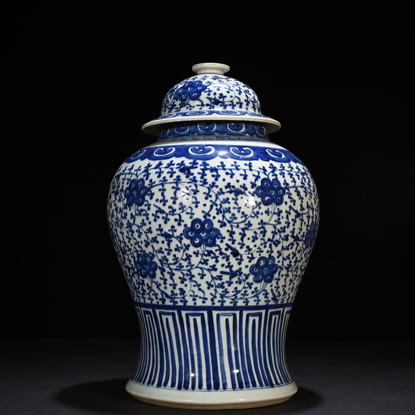 Qing Dynasty Daoguang blue and white general jar with intertwining branches and florals