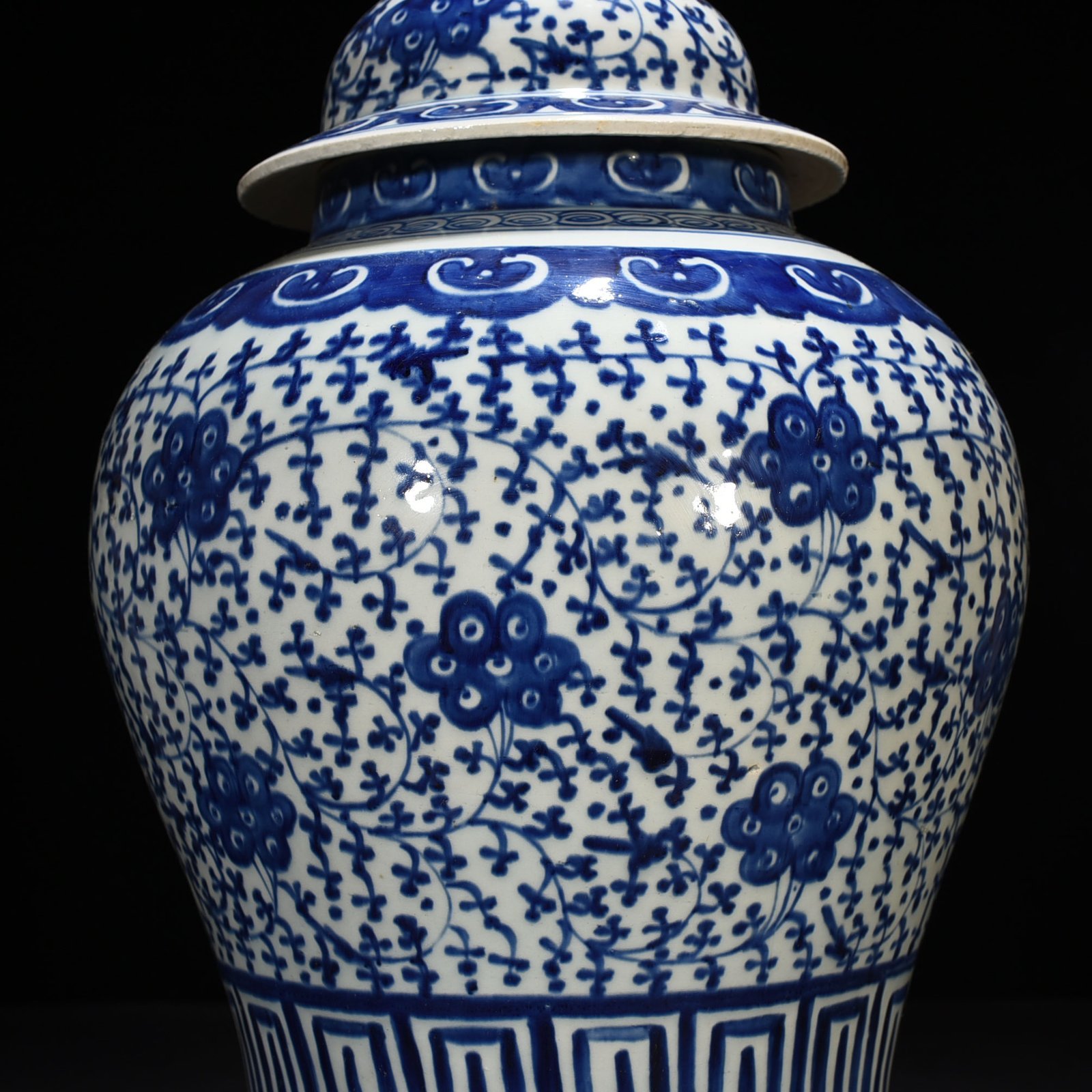 Qing Dynasty Daoguang blue and white general jar with intertwining branches and florals
