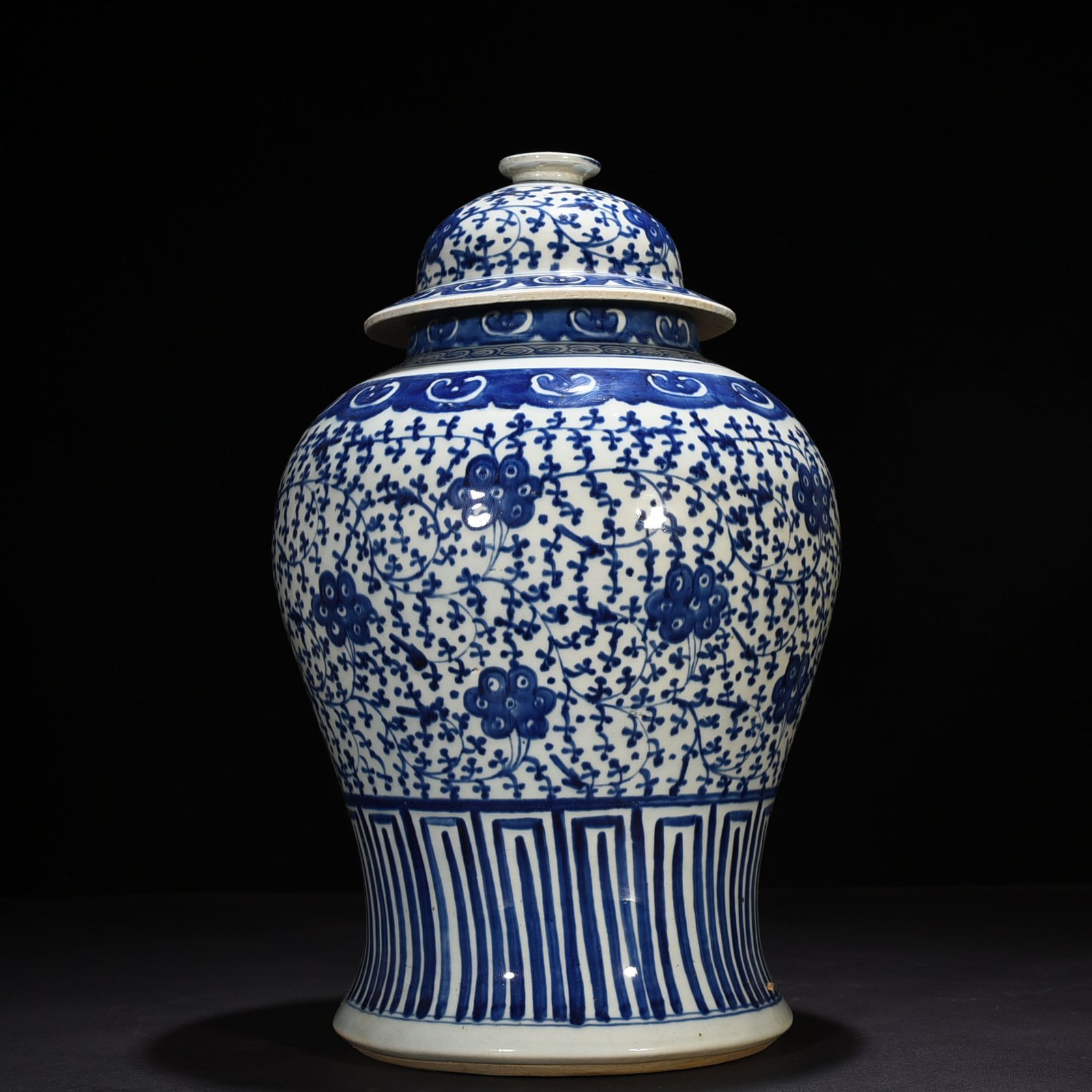 Qing Dynasty Daoguang blue and white general jar with intertwining branches and florals