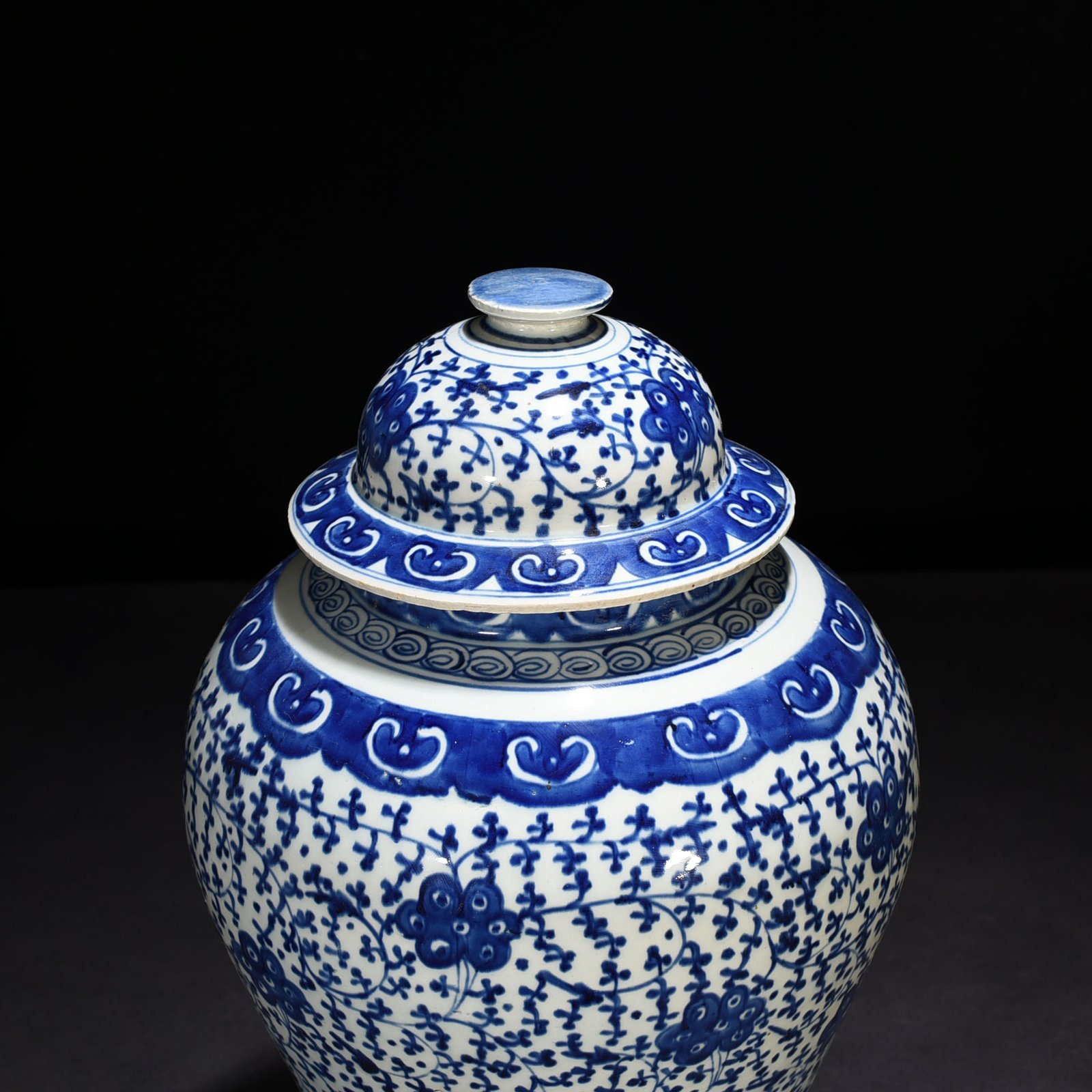 Qing Dynasty Daoguang blue and white general jar with intertwining branches and florals