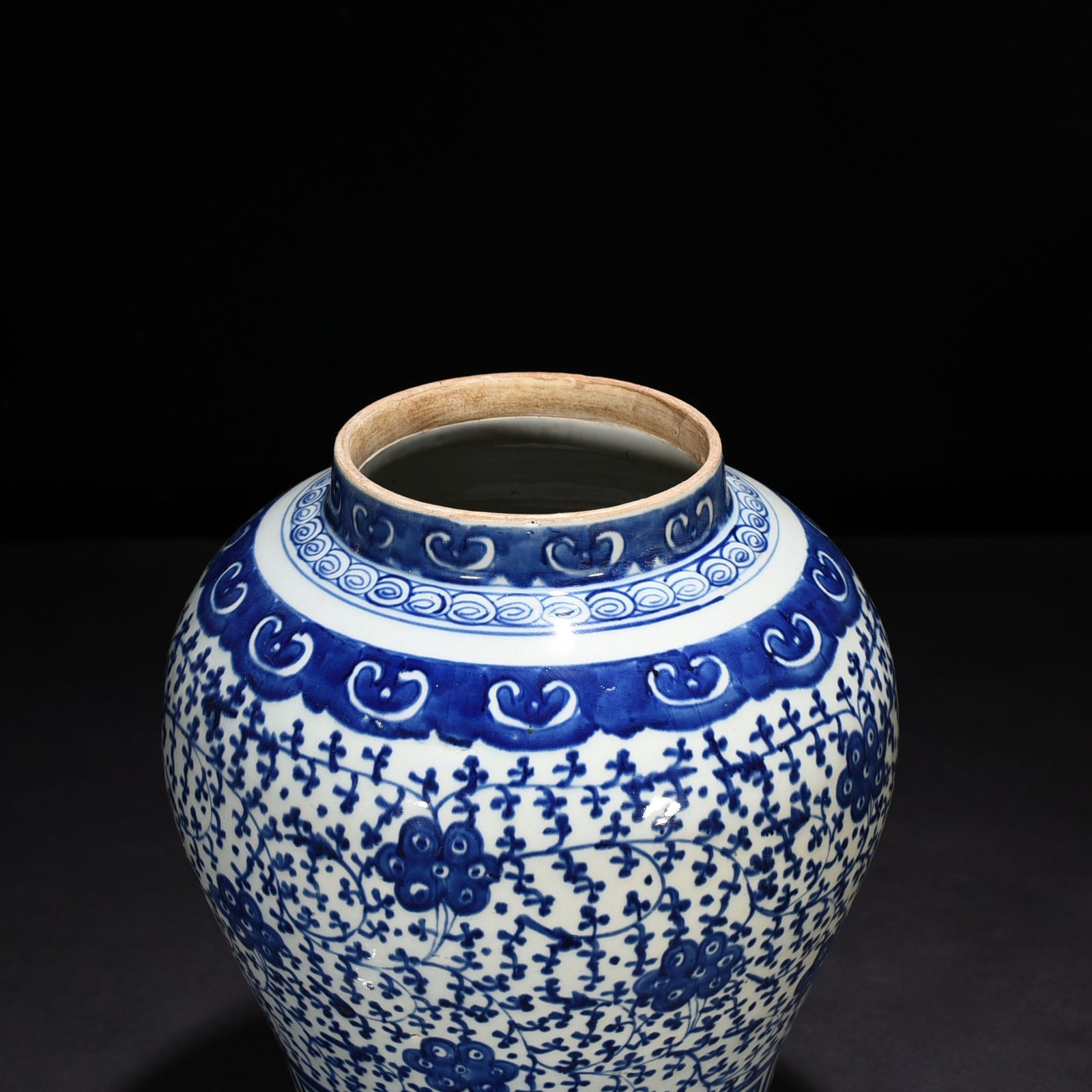 Qing Dynasty Daoguang blue and white general jar with intertwining branches and florals