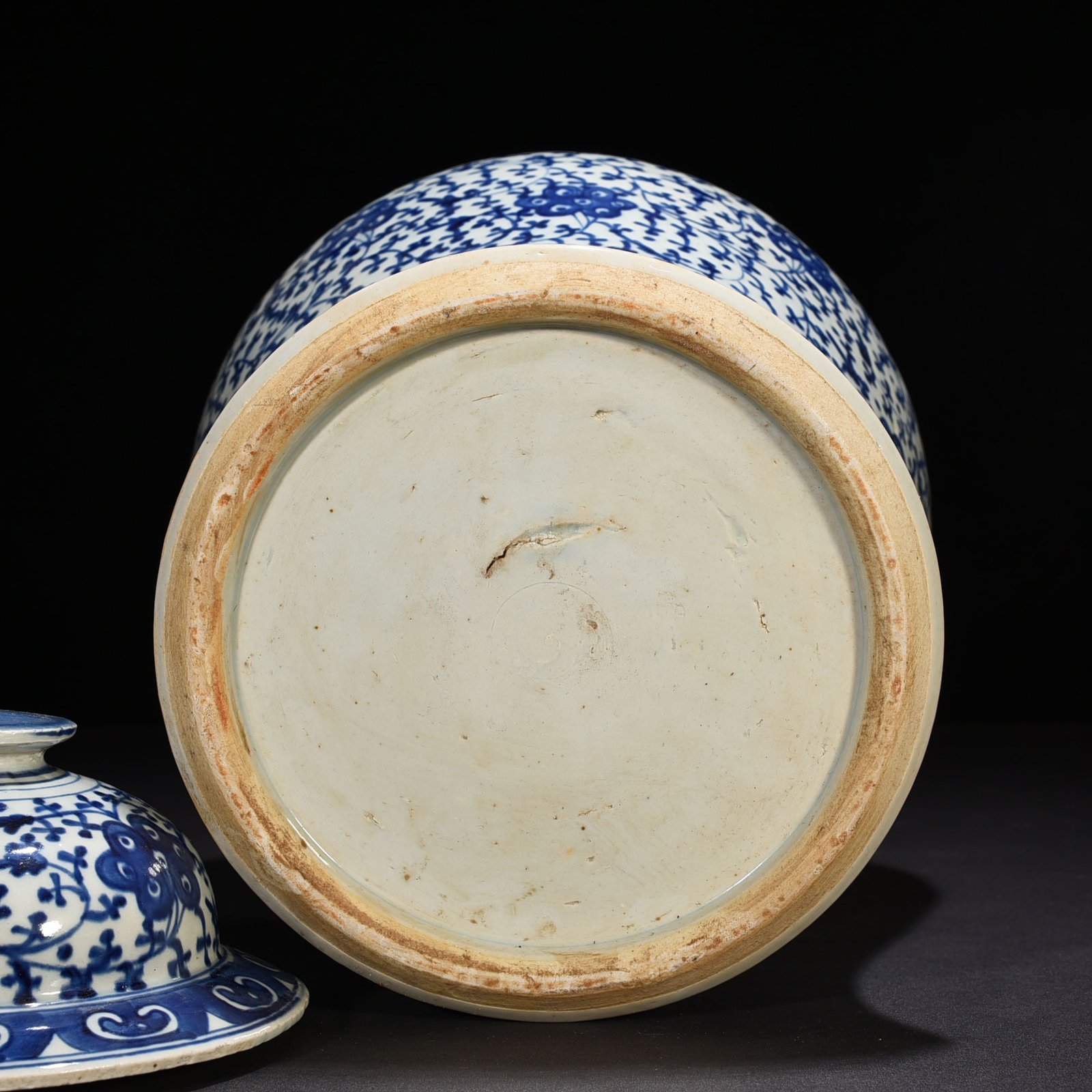 Qing Dynasty Daoguang blue and white general jar with intertwining branches and florals