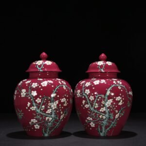 Qing Dynasty Yongzheng rouge red ground plum general jar