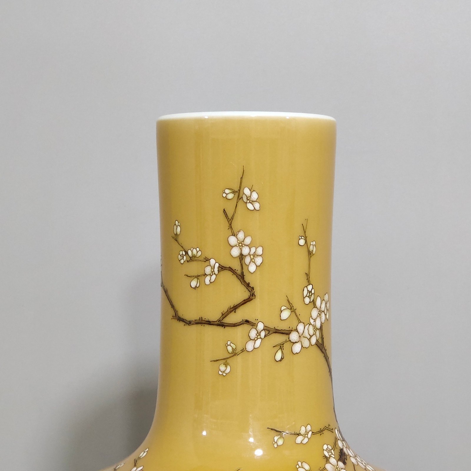 Qing Dynasty Yongzheng beige glazed flower and bird celestial sphere vase