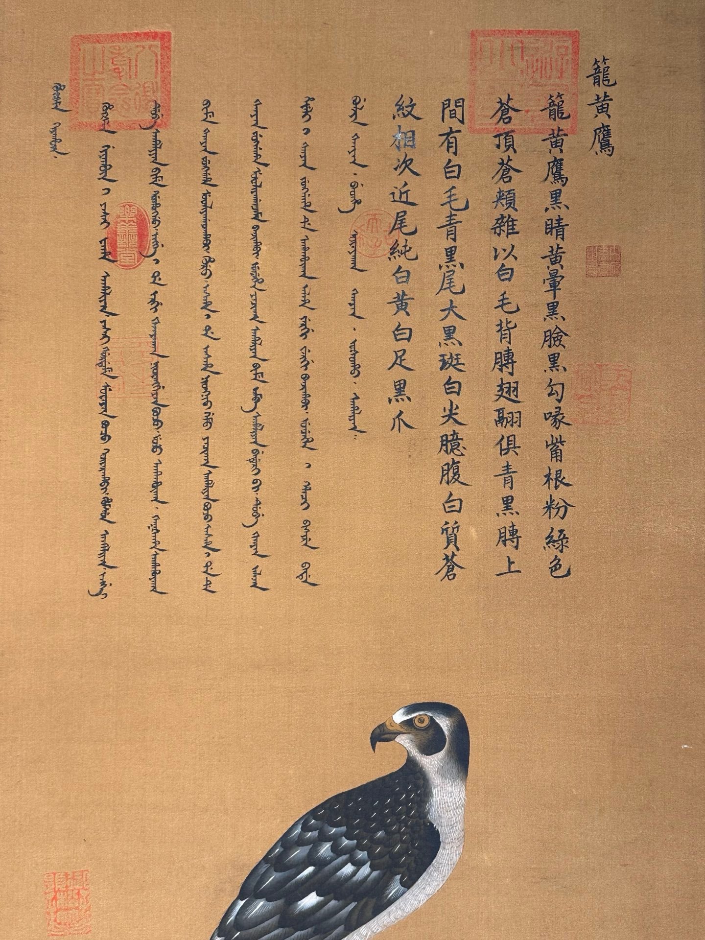 Chinese scroll painting Giuseppe