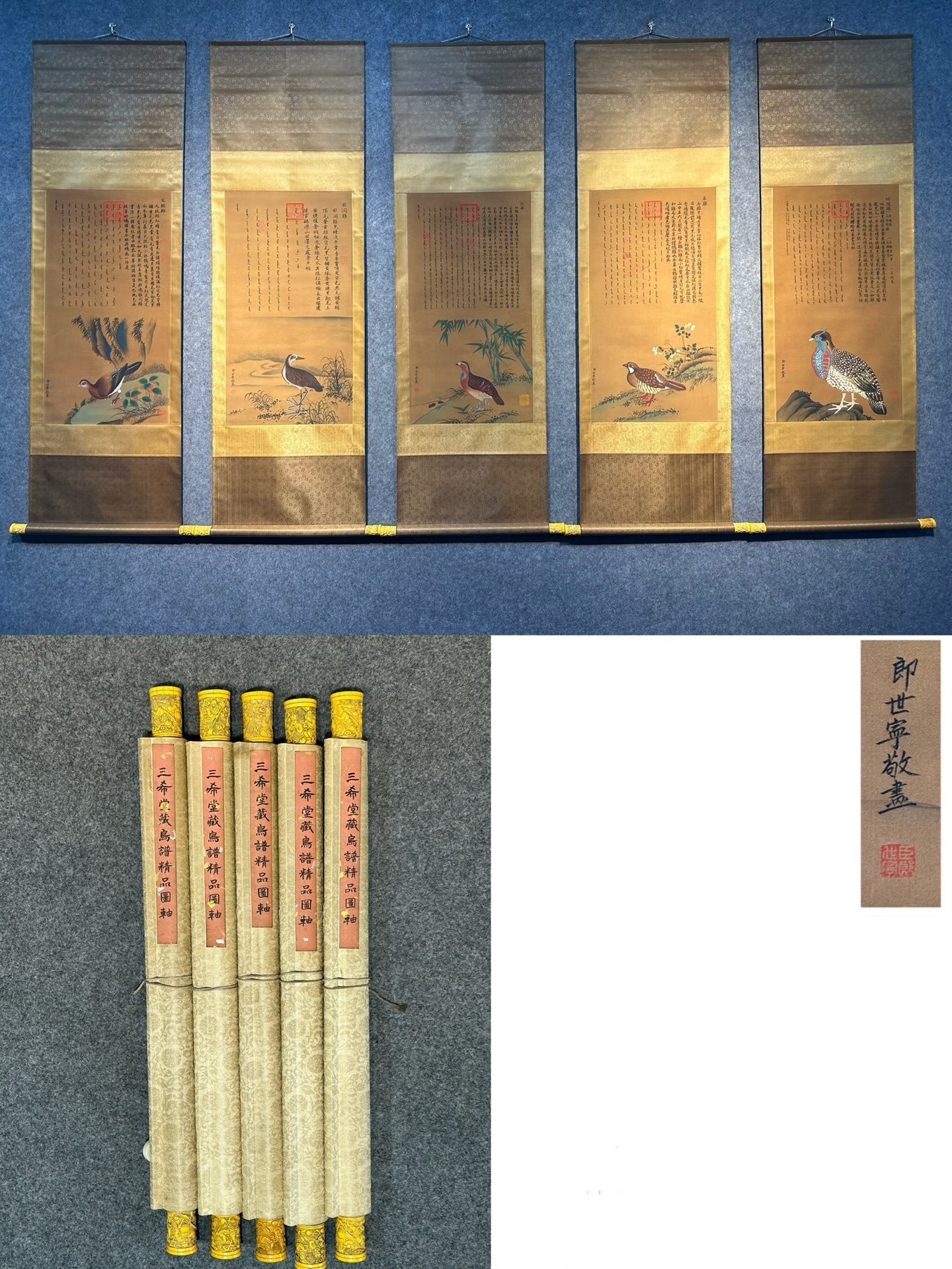 Chinese scroll painting Giuseppe Gasdione