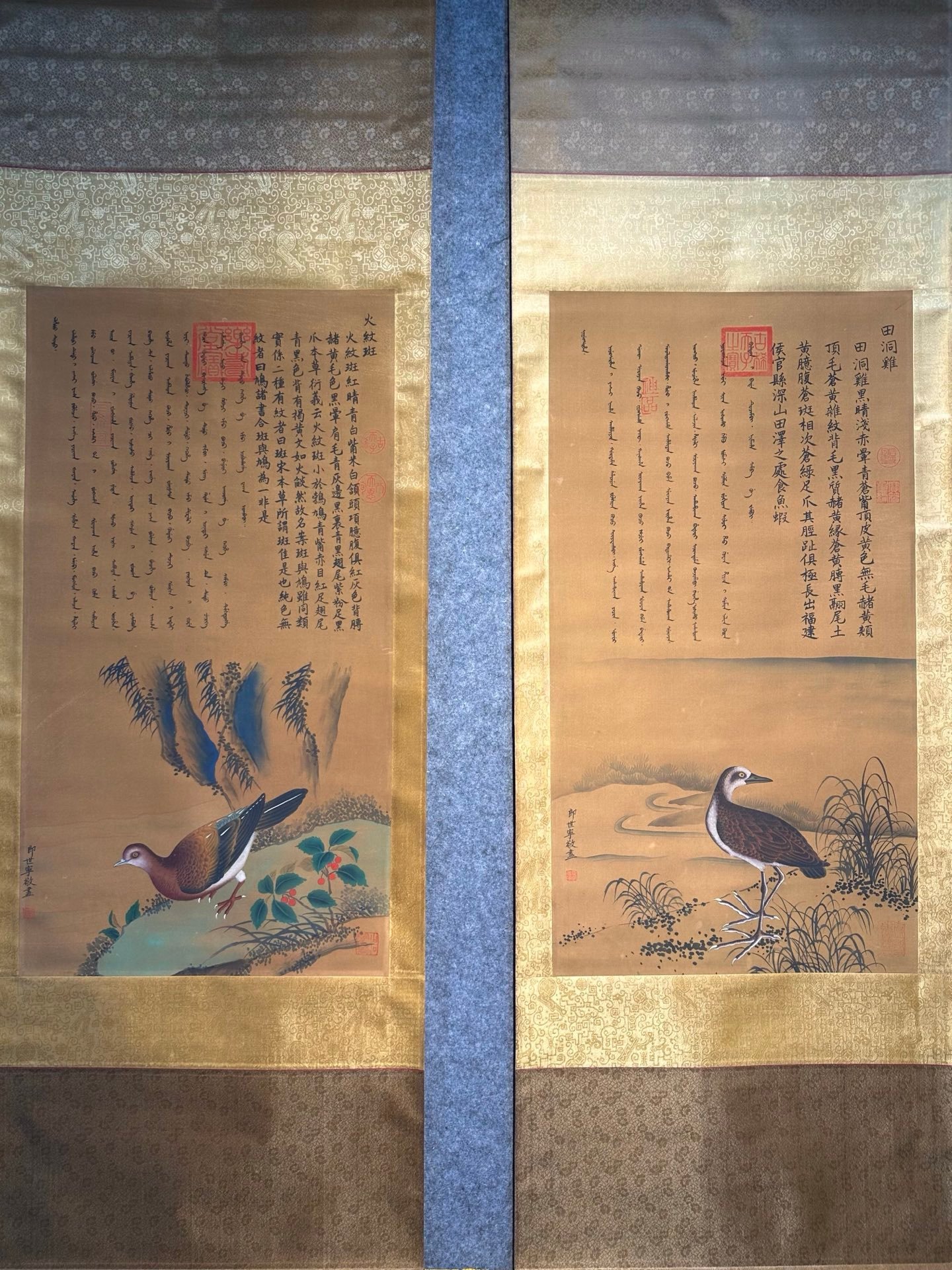 Chinese scroll painting Giuseppe Gasdione