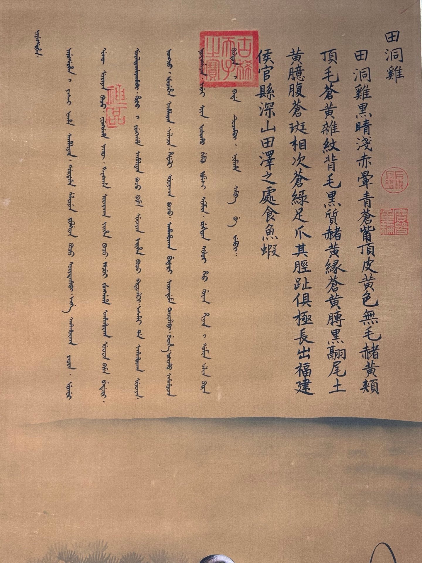 Chinese scroll painting Giuseppe Gasdione