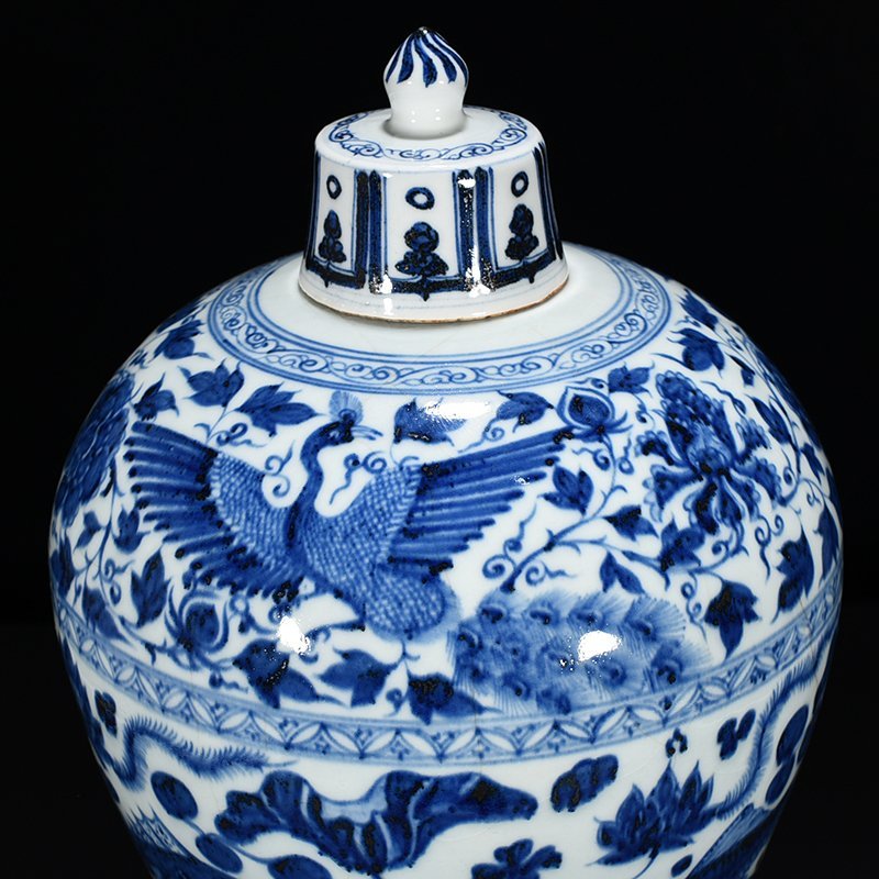 Yuan Dynasty blue and white fish and algae pattern plum vase