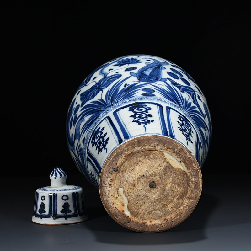 Yuan Dynasty blue and white fish and algae pattern plum vase