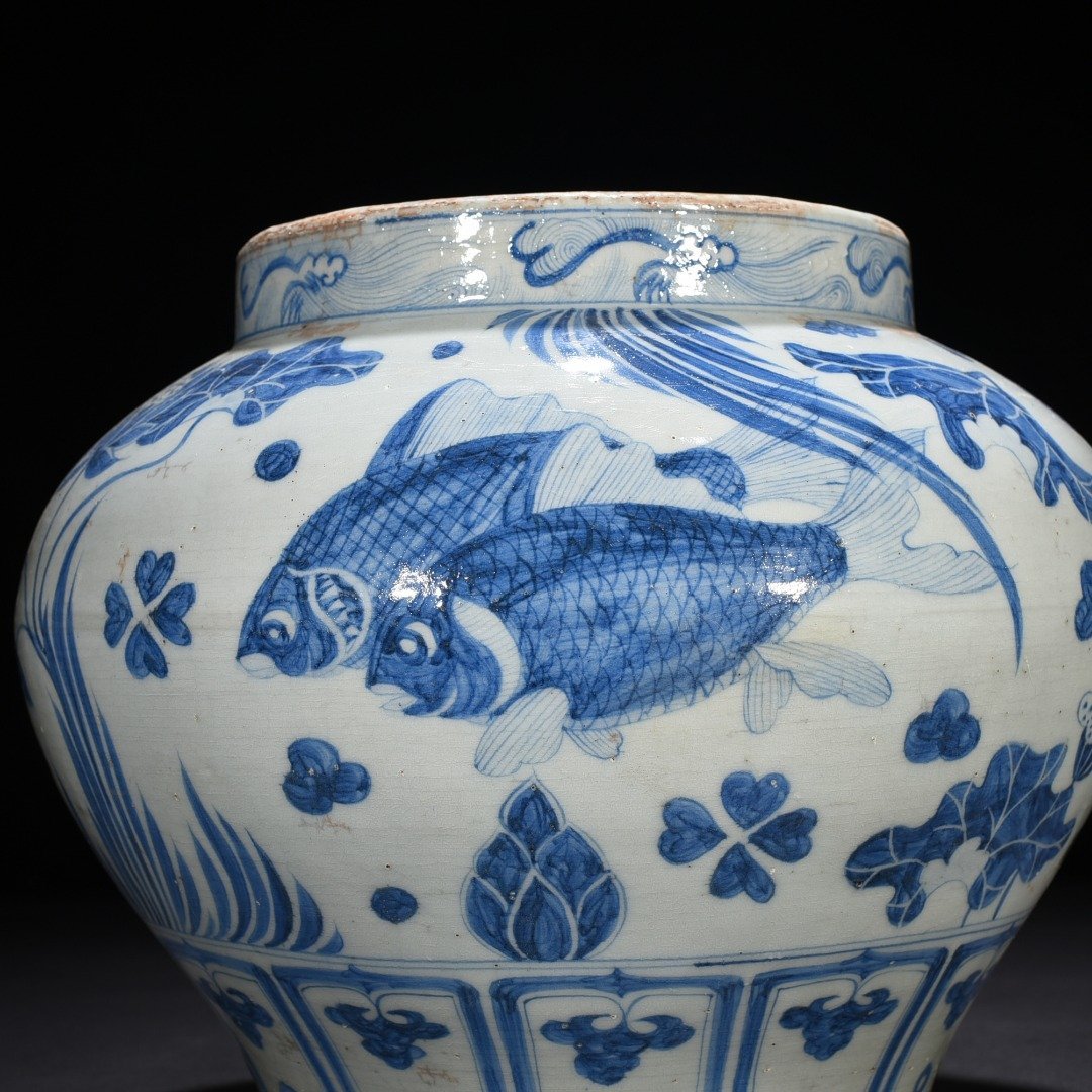 Yuan Dynasty blue and white fish and algae pattern jar