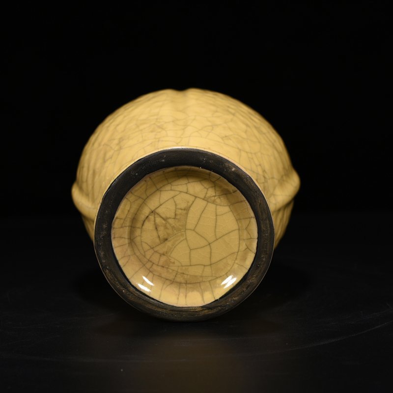 Song Dynasty Ge Kiln Pisces Vase